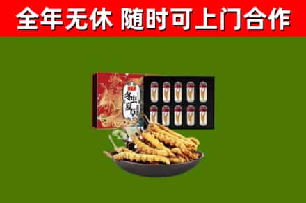 朔州回收冬虫夏草价格